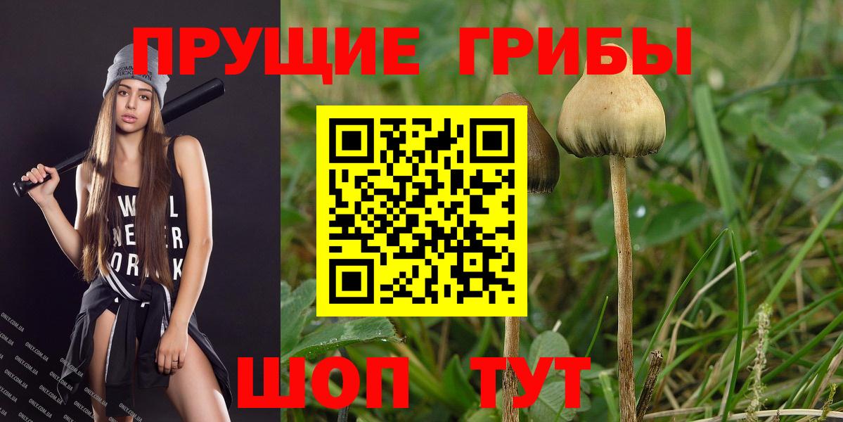 Псилоцибиновые грибы ЛСД Кизилюрт