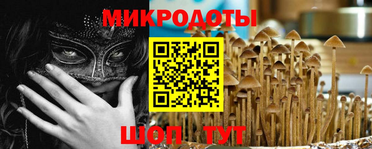 Кизилюрт  Псилоцибиновые грибы мухоморы  Вход с VPN  Галлюциногенные грибы Psilocybine cubensis 